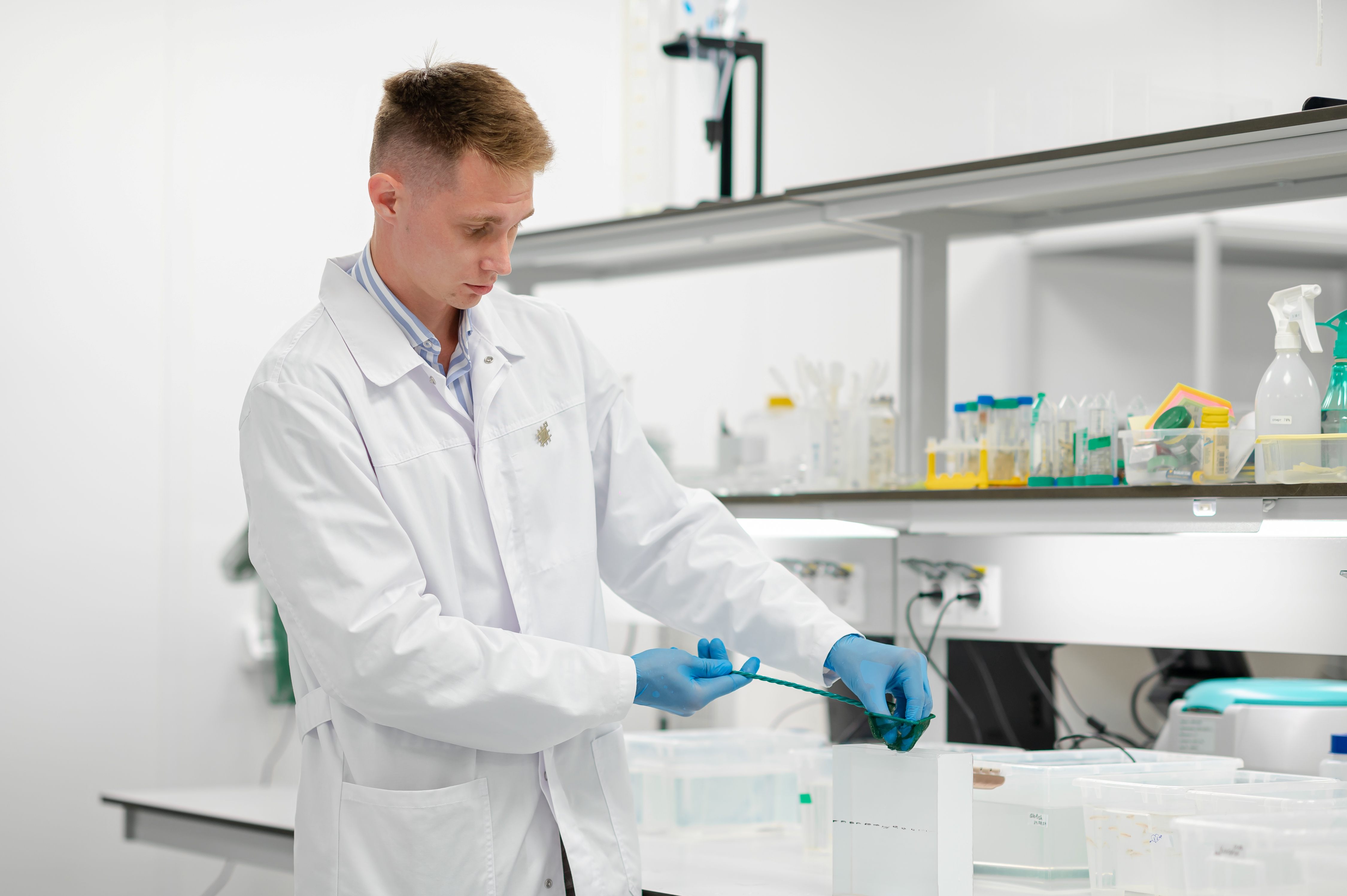 Danio rerio как модель в трансляционных исследованиях