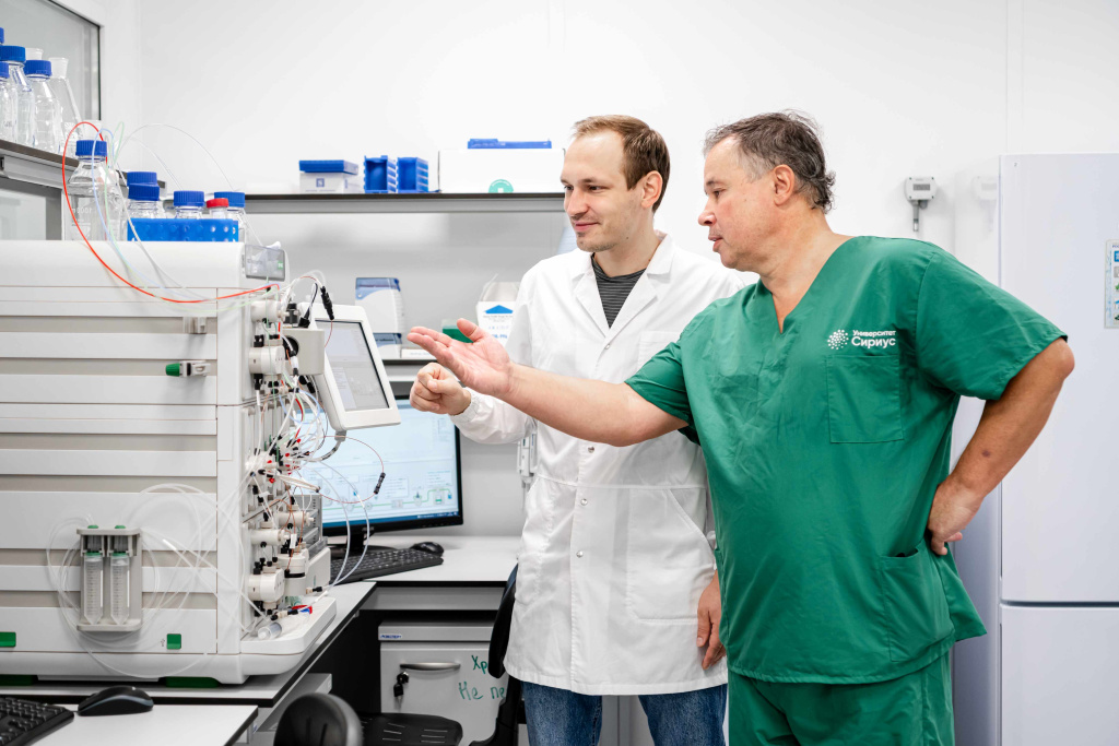 В Университете «Сириус» выяснили, как стареет наш иммунитет