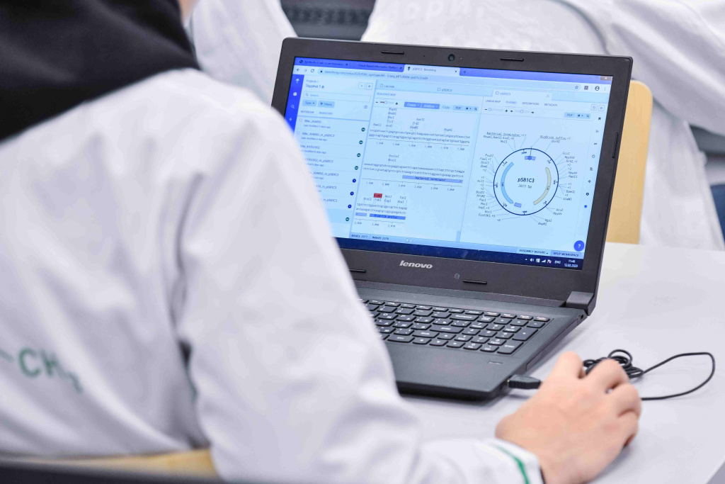 Разработка учёных Сириуса поможет быстрее тестировать новые препараты для лечения заболеваний мозга
