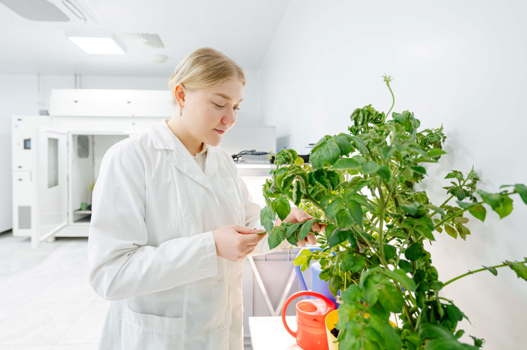 Генетическое разнообразие – основа доместикации и селекции растений