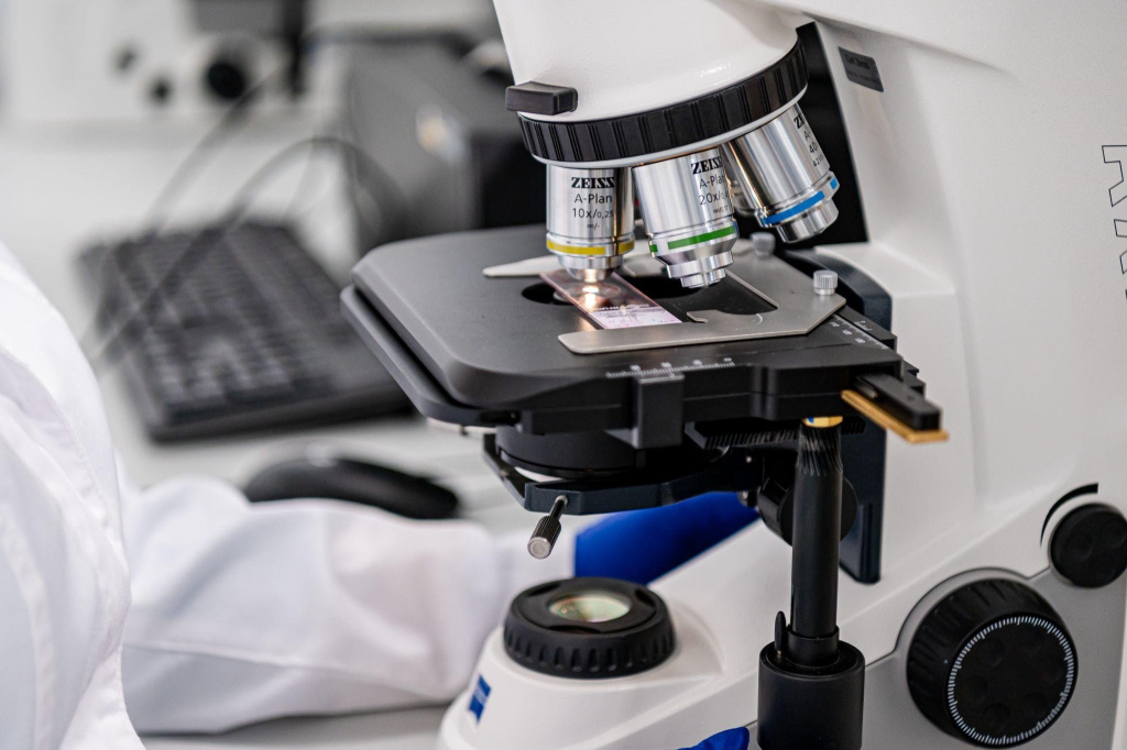 В Сириусе разработали биосовместимый каркас для восстановления спинного мозга