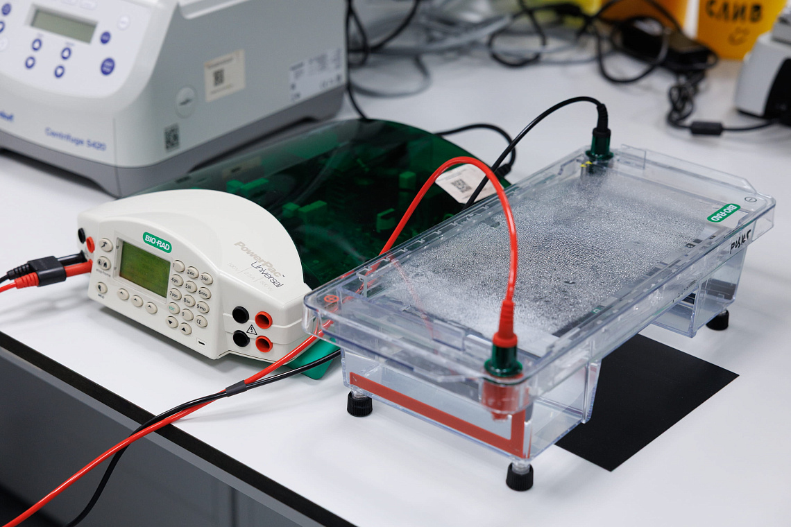 Камеры для горизонтального электрофорезаSub-CellGT, Bio-Rad