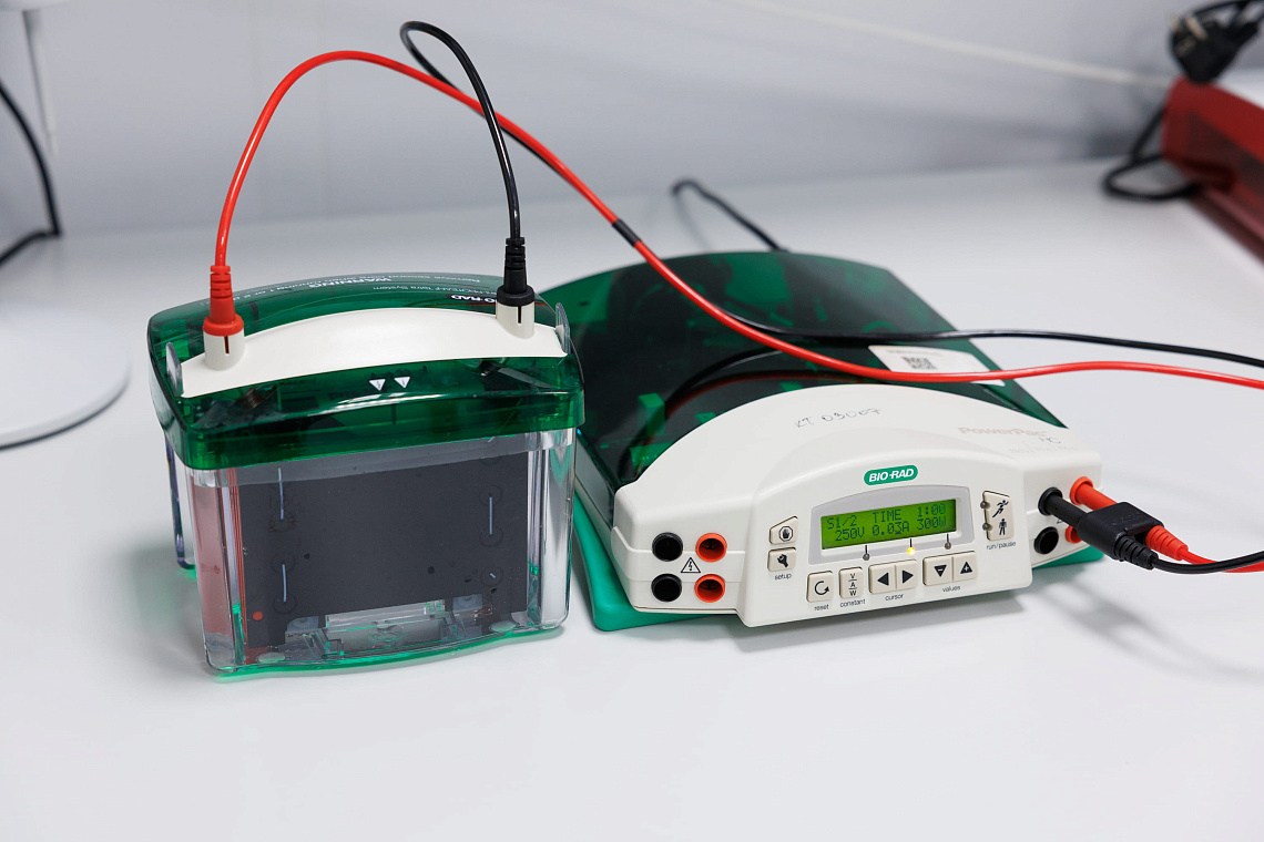 Системы для мокрого блоттинга Mini Trans-Blot, BioRad